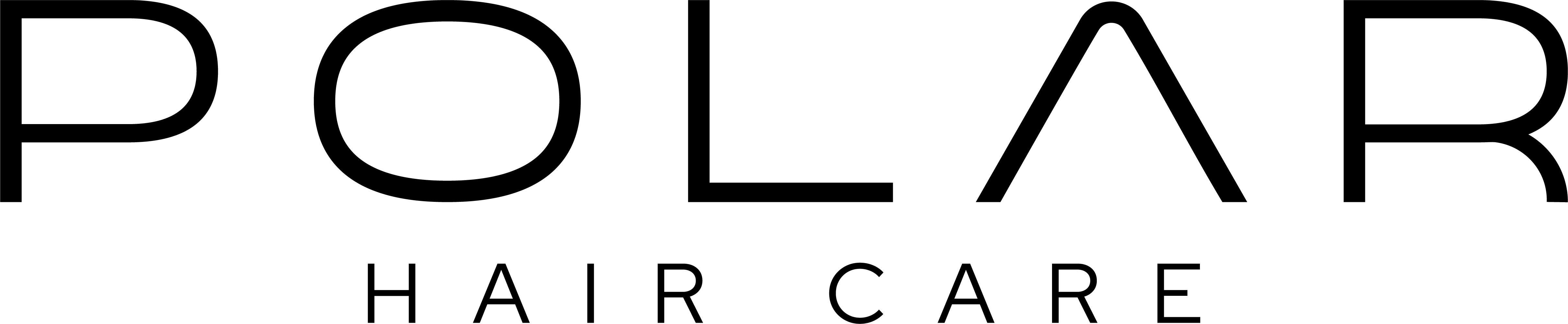 Polar Operations logo